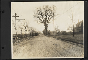 View of North Elm Street, looking south.