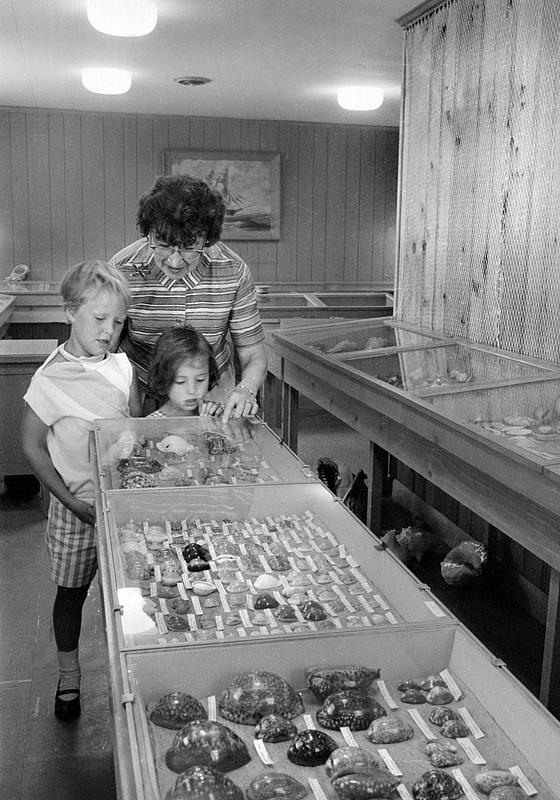 Shell Museum, Cape Cod, Chatham