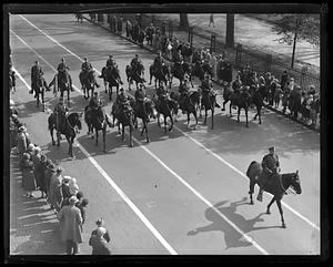 Mounted police on parade