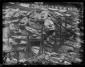 Italian fleet at T-wharf