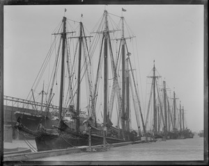 Fishing schooners docked in Boston. Fish pier.