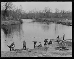 Herring run, Taunton