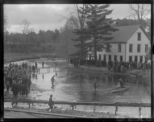 Salmon hatching, Raymond, Maine