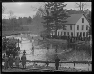 Salmon hatching, Raymond, Maine