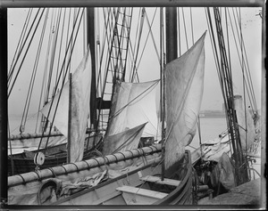 Drying Dory sails aboard: Fishing schooner