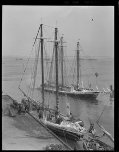 Iced up fishing schooners at fish pier