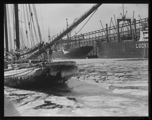 Seagulls flocking around fishing schooner Imperator at fish pier