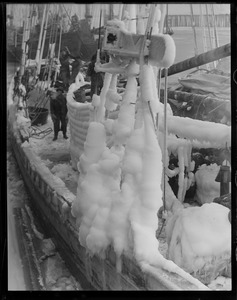 Fishing schooner Lark covered in ice