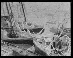 Ice covered fishing schooner Ingamar, Rainbow and Fordham