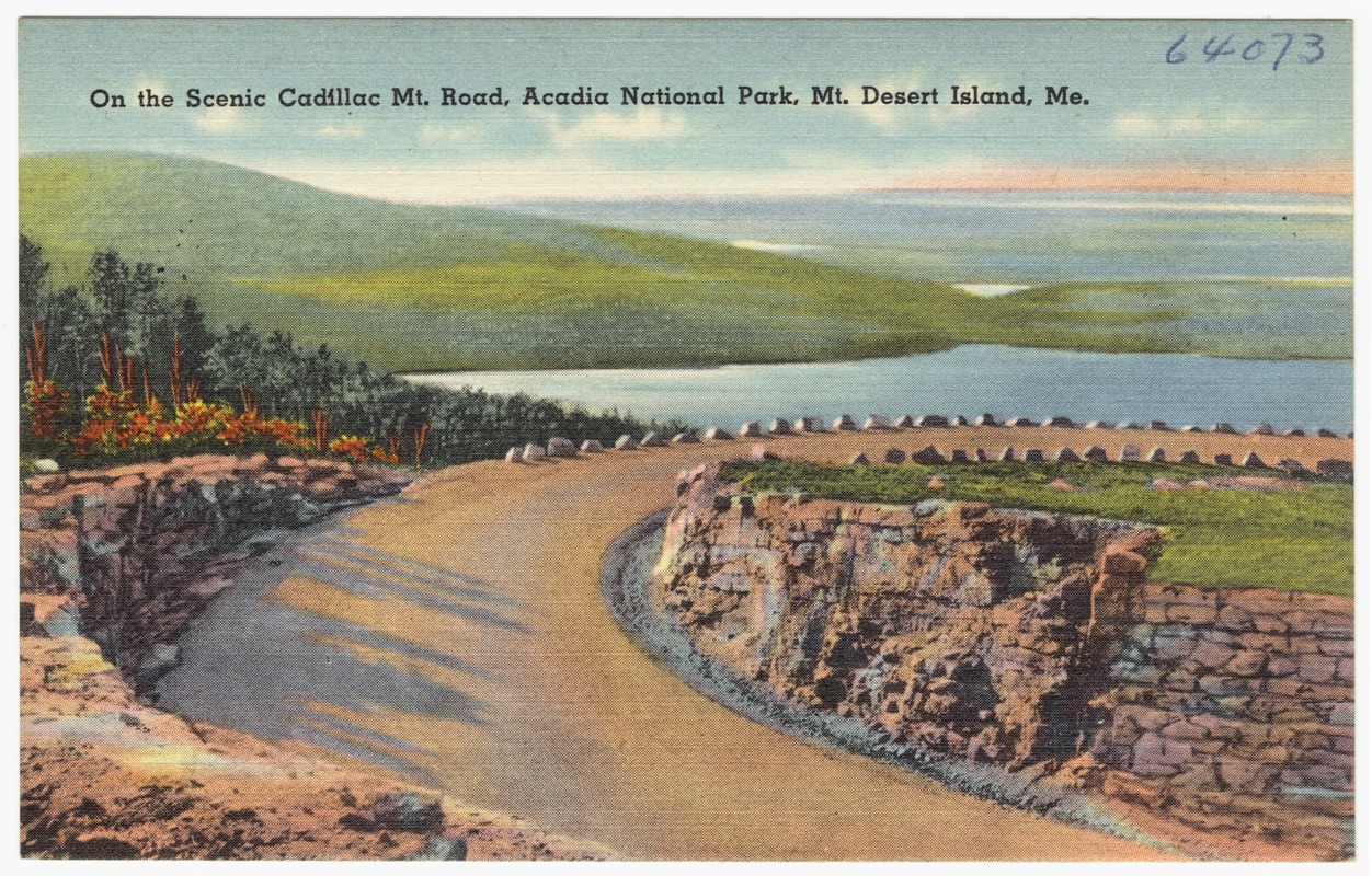 On scenic Cadillac Mt. Road, Acadia National Park, Mt. Desert Island, Me.