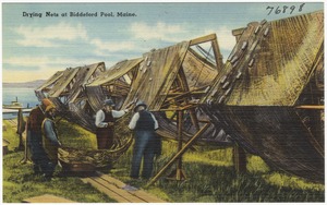 Drying Nets at Biddeford Pool, Maine