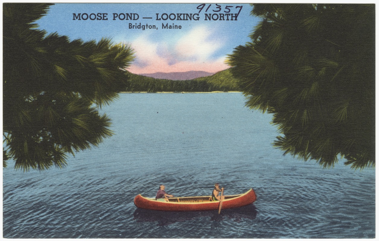 Moose Pond -- Looking north, Bridgton, Maine