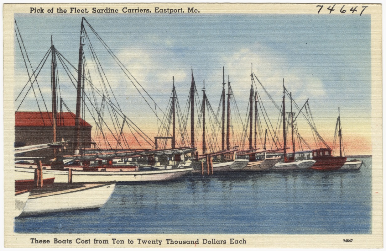 Pick of the fleet, Sardine Carriers, Eastport, Me., these boats cost from ten to twenty thousand dollars each