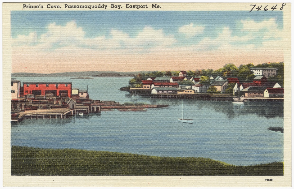 Prince's Cove, Passamaquoddy Bay, Eastport, Me.