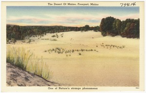 The desert of Maine, Freeport, Maine, one of nature's strange phenomena