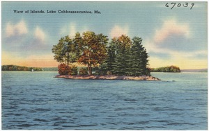 View of Islands, Lake Cobbosseecontee, Me.