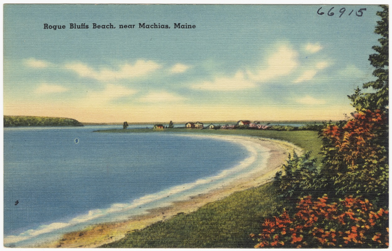 Rogue Bluffs Beach, near Machias, Maine Digital Commonwealth