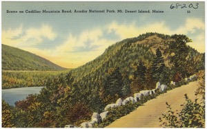 Scene on Cadillac Mountain Road, Acadia National Park, Mt. Desert Island, Me.