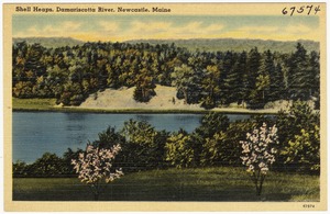 Shell Heaps, Damariscotta River, Newcastle, Maine