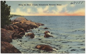 Along the shore of Lake Sebasticook, Newport, Maine
