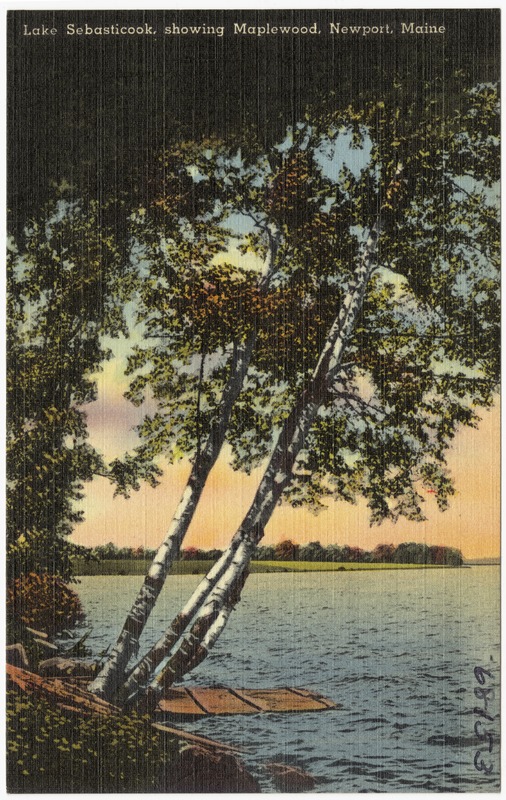 Lake Sebasticook, showing Maplewood, Newport, Maine