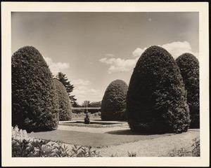 The Mount: trees and fountain