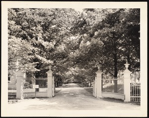 The Mount: gates and driveway