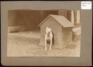 Ventfort Hall: dog in doghouse