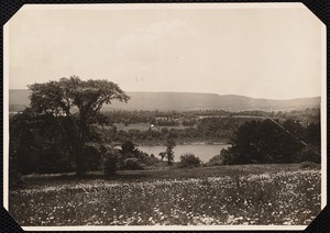 The Mount: field of flowers and Laurel Lake