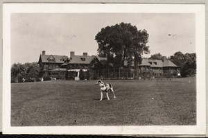 Elm Court: house with dog in foreground