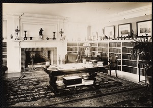 Birchwood: library with fireplace