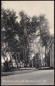 Aspinwall Hotel: white birches in front