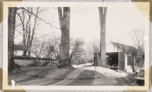 Birchwood: drive and garage