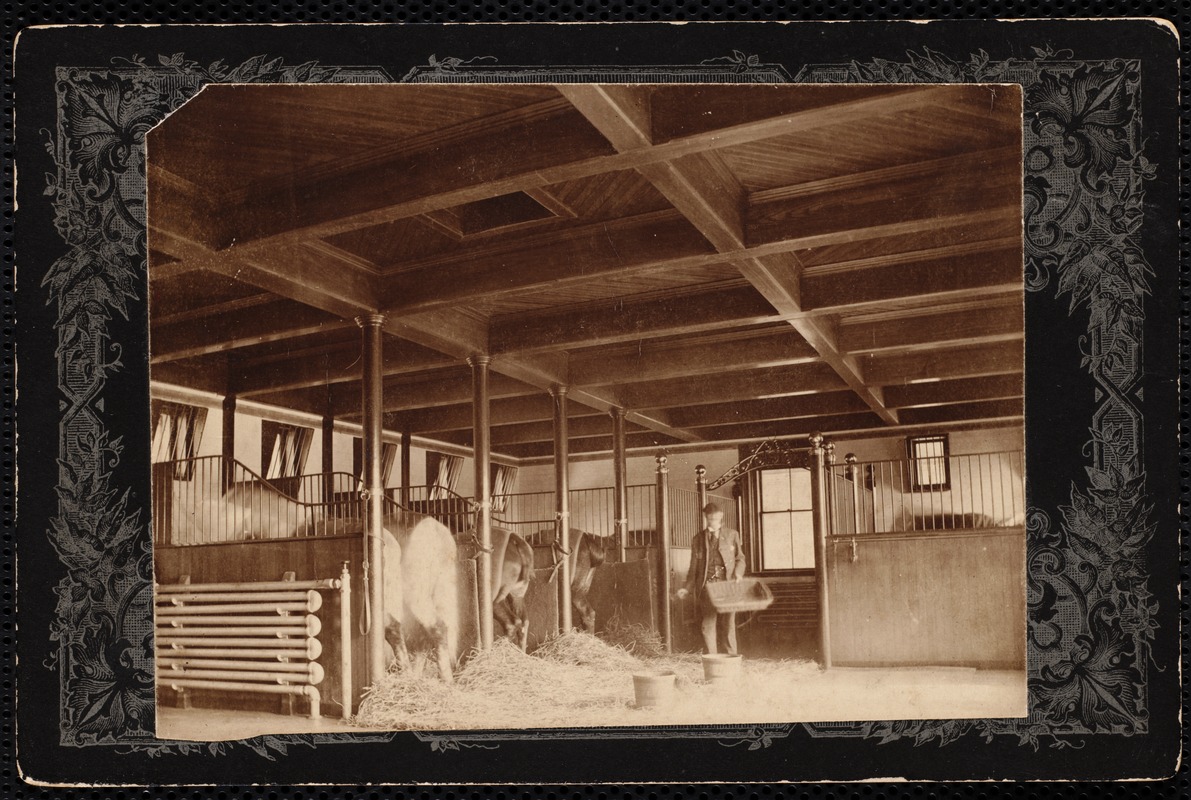 Pinecroft: interior of stable