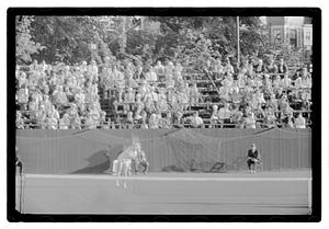 International tennis championship