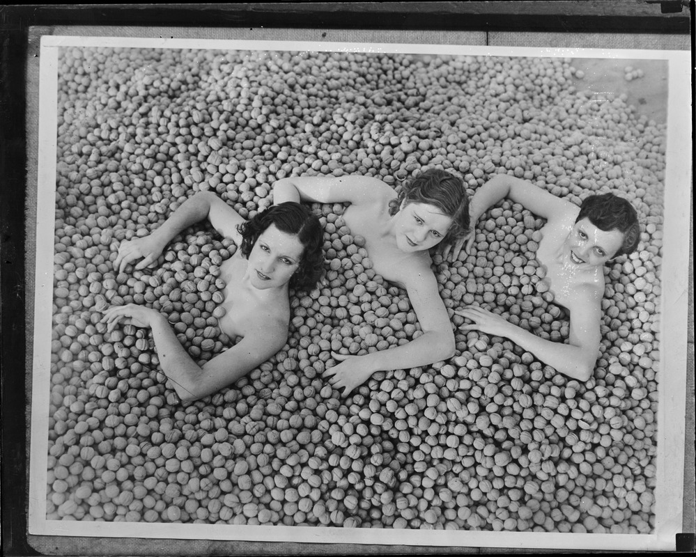 Girls buried in walnuts to celebrate harvest in Southern California. L to R: Marguerite Bertz, Carla Hansen, Verle Coon