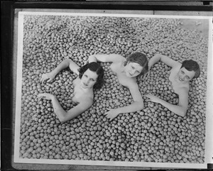 L to R: Marguerite Bertz, Carla Hansen, Verle coon buried in walnuts to celebrate Southern California harvest