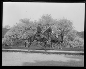 E.W. Preston on horseback in the Arnold Arboretum at cherry blossom time