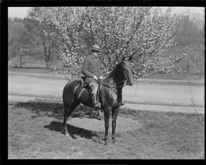 Mr. E.W. Preston on horseback, Arnold Arboretum