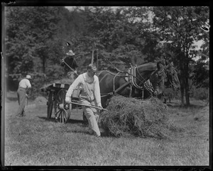 Pres. Coolidge pitching hay at his farm at Plymouth, VT