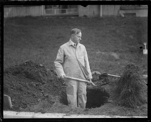 Gov. Coolidge ain't afraid of work, Arbor Day