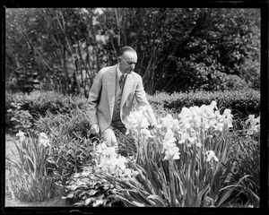 Ex Pres. Coolidge inspects garden in new home in Northampton
