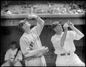 St Louis / Red Sox
