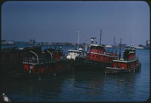 Red and white boats in harbor, Boston
