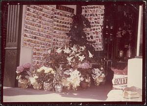 Flower shop, Boston