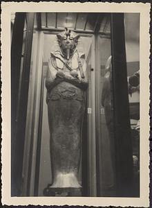 King Tut, Museum of Cairo