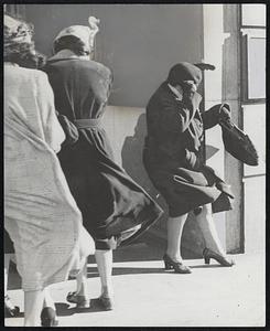 Three Sheets To The Wind was the way most pedestrians in downtown Boston acted yesterday in fighting the gusts that made walking back-to the surest procedure at some windy comers.