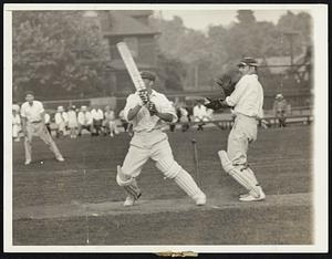 Cricket.