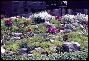 A fenced garden with flowers and rocks