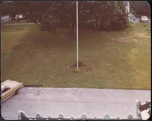 Lawrence Library view from roof looking down on parking area and flag pole